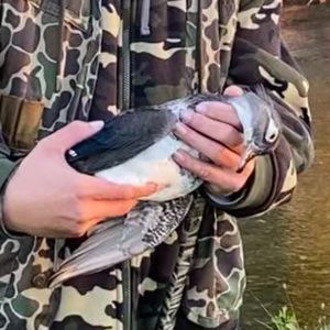 Meet your Posher, Keith